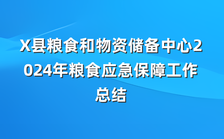 X县粮食和物资储备中心2024年粮食应急保障工作总结