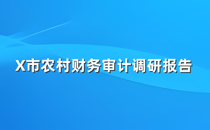 X市农村财务审计调研报告