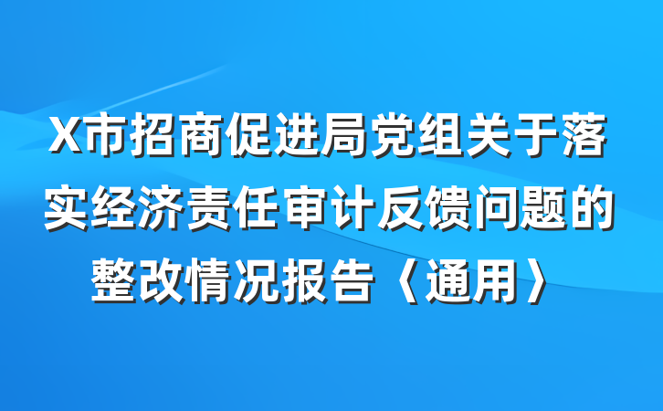 X市招商促进局党组关于落实经济责任审计反馈问题的整改情况报告〈通用〉