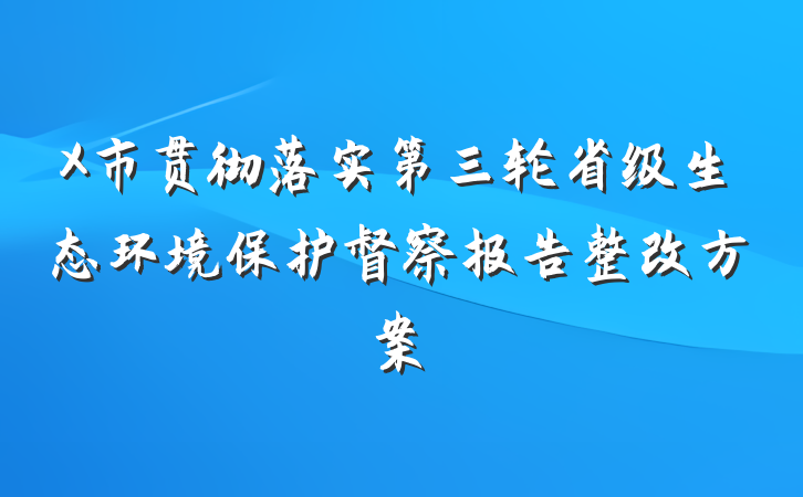 X市贯彻落实第三轮省级生态环境保护督察报告整改方案