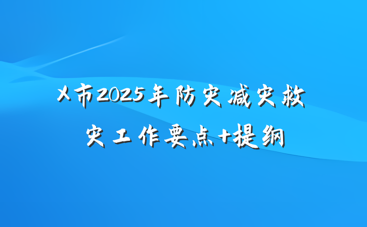 X市2025年防灾减灾救灾工作要点 提纲