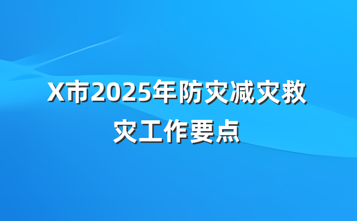 X市2025年防灾减灾救灾工作要点