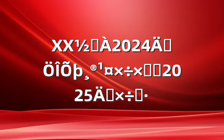 XXֵ2024귨ܽἰ2025깤˼·