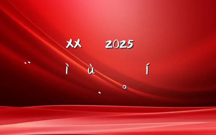 XXֵ2025굳صĿʵʩ