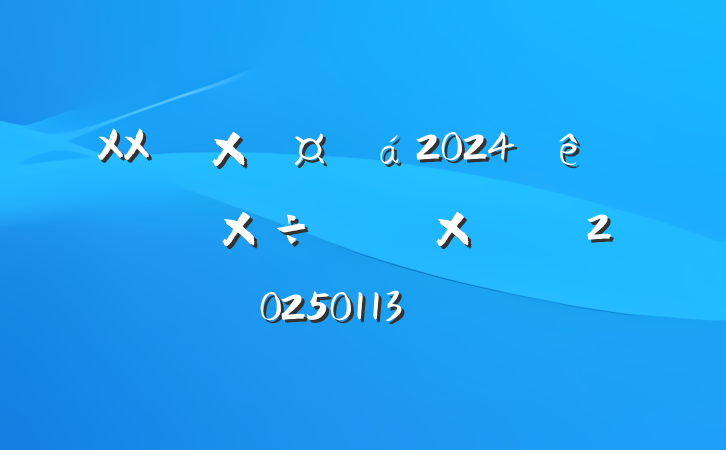 XXܹ2024ص㹤ܽᱨ棨20250113