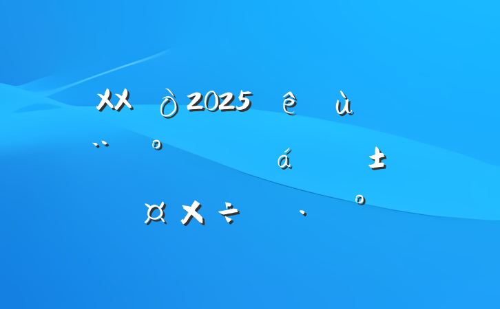 XX2025㵳Ŀʵʩ