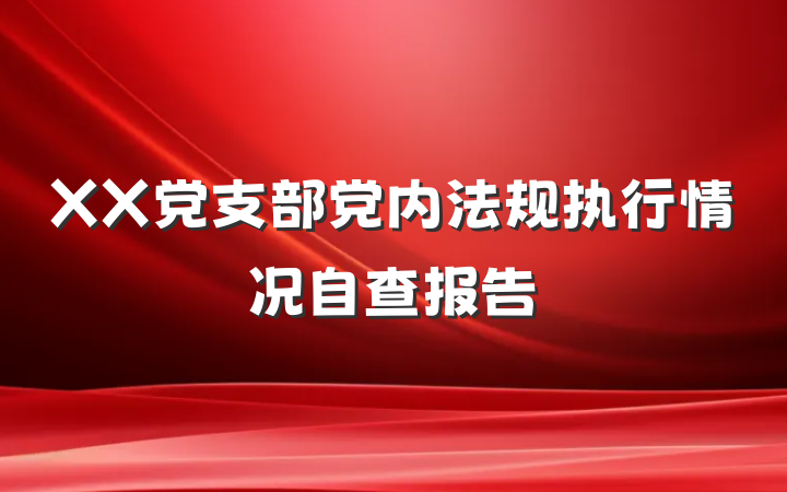 XX党支部党内法规执行情况自查报告