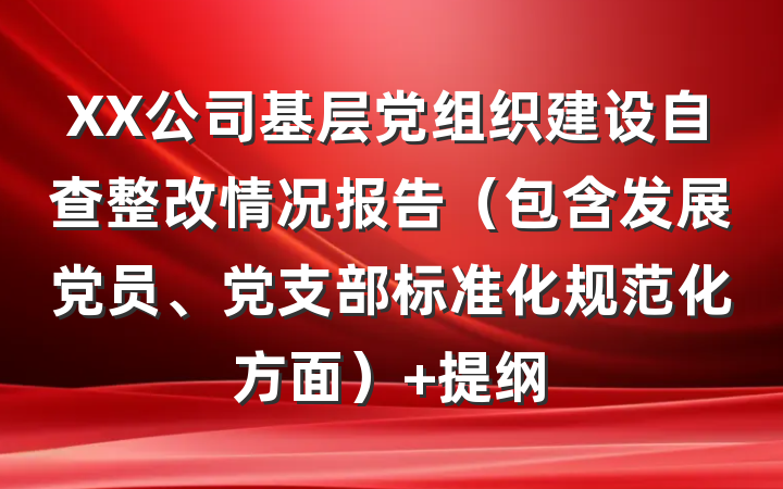XX公司基层党组织建设自查整改情况报告（包含发展党员、党支部标准化规范化方面） 提纲