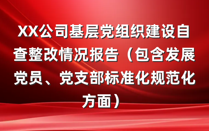 XX公司基层党组织建设自查整改情况报告（包含发展党员、党支部标准化规范化方面）