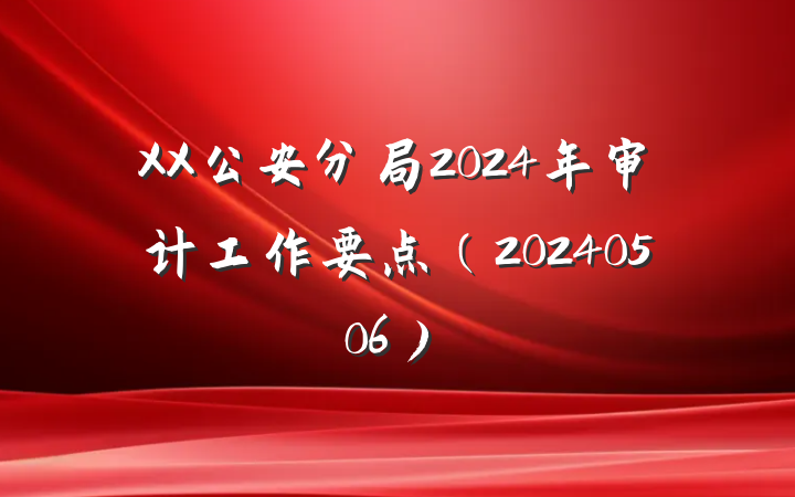XX公安分局2024年审计工作要点（20240506）