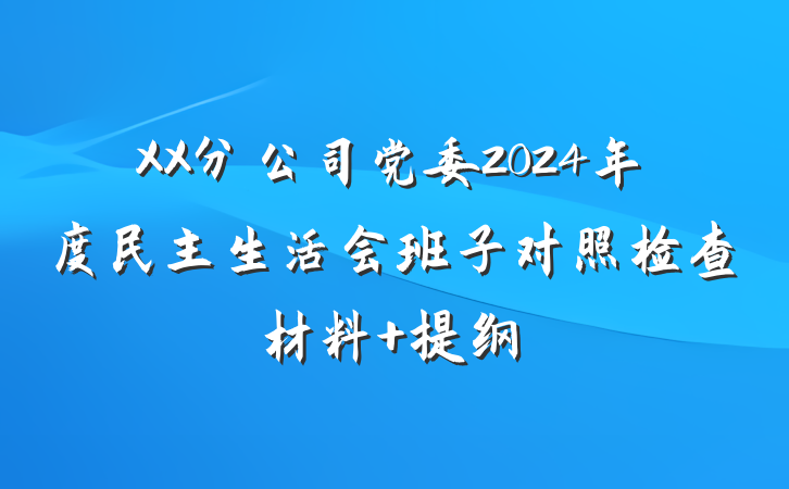 XX分公司党委2024年度民主生活会班子对照检查材料 提纲