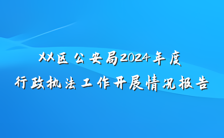 XX区公安局2024年度行政执法工作开展情况报告