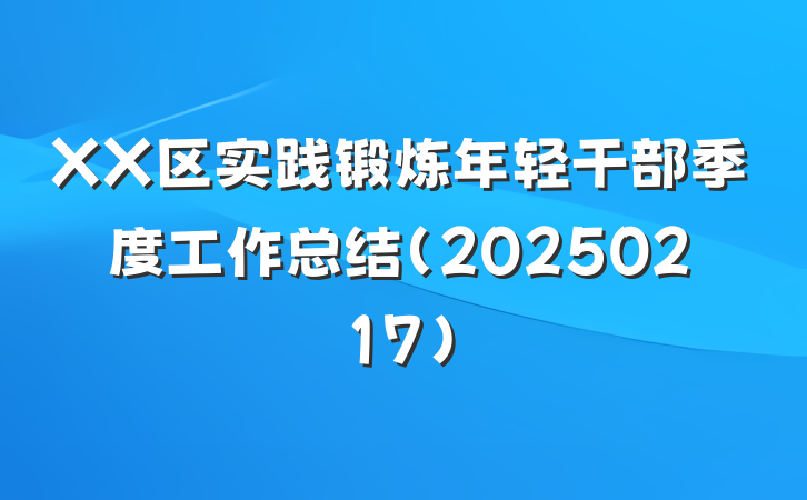 XX区实践锻炼年轻干部季度工作总结（20250217）