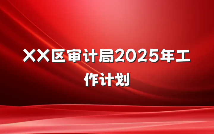 XX区审计局2025年工作计划