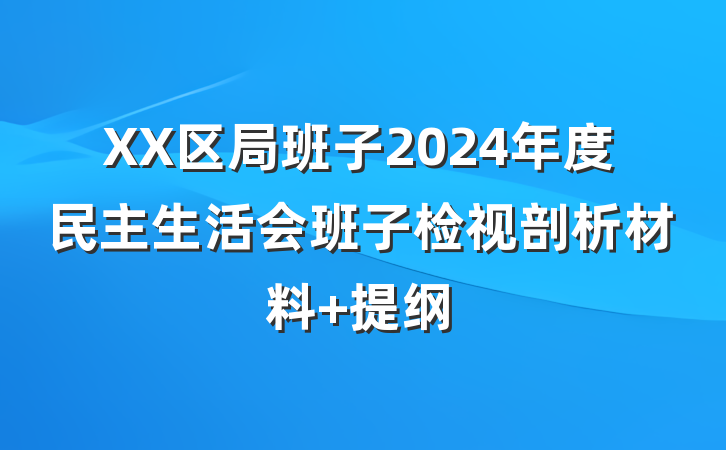 XX区局班子2024年度民主生活会班子检视剖析材料 提纲
