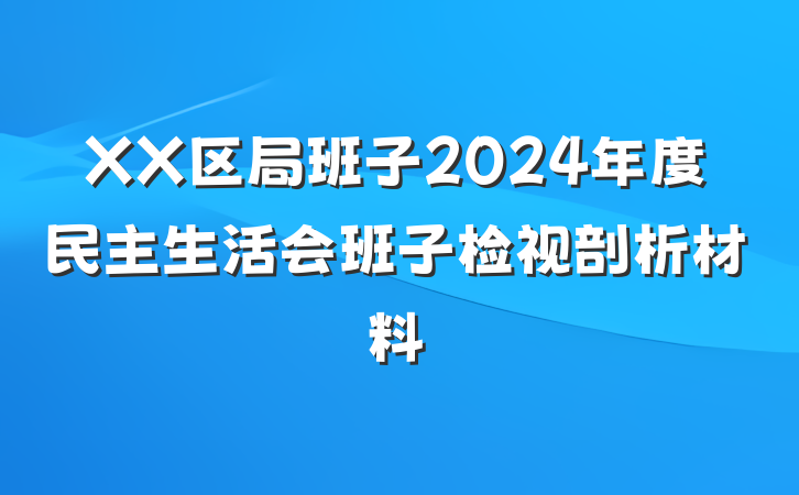 XX区局班子2024年度民主生活会班子检视剖析材料