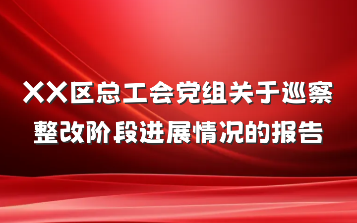 XX区总工会党组关于巡察整改阶段进展情况的报告