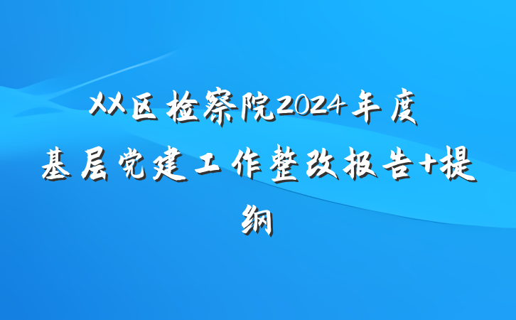 XX区检察院2024年度基层党建工作整改报告 提纲