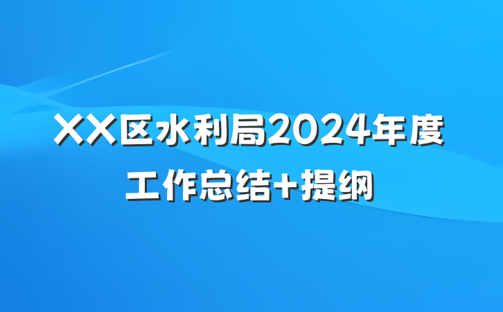 XX区水利局2024年度工作总结 提纲