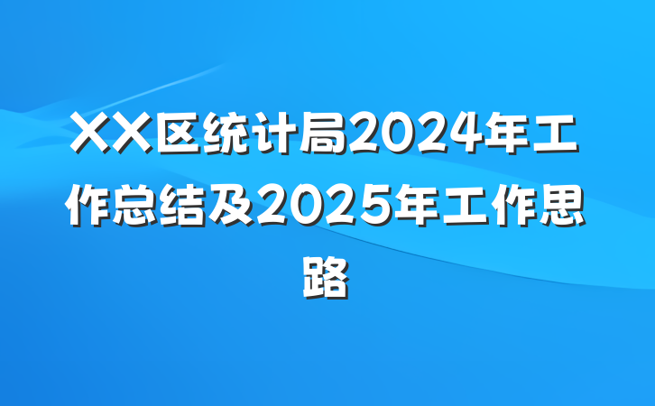 XX区统计局2024年工作总结及2025年工作思路