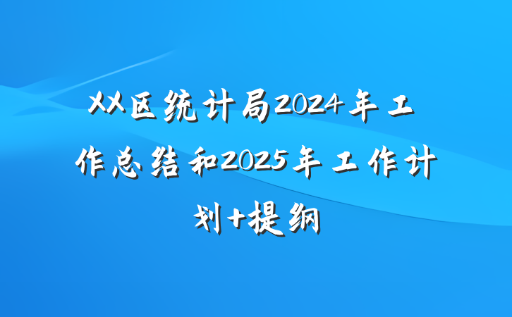 XX区统计局2024年工作总结和2025年工作计划 提纲