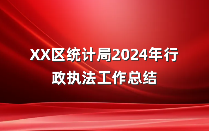 XX区统计局2024年行政执法工作总结