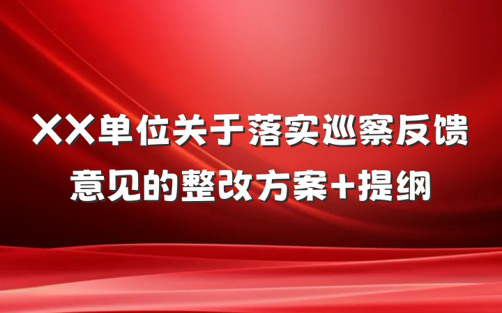 XX单位关于落实巡察反馈意见的整改方案 提纲