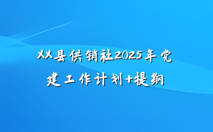 XX县供销社2025年党建工作计划 提纲