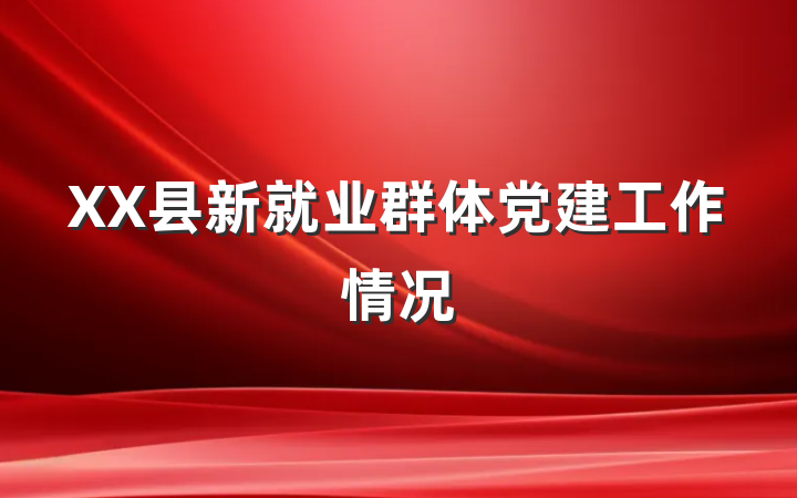 XX县新就业群体党建工作情况