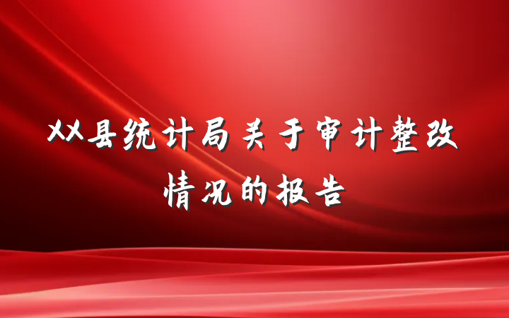 XX县统计局关于审计整改情况的报告