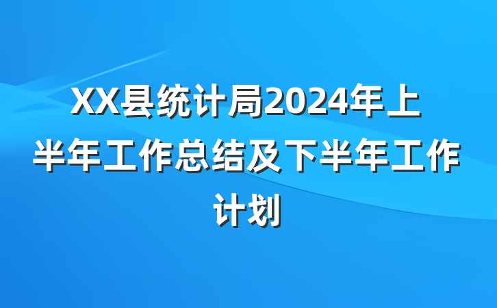 XX县统计局2024年上半年工作总结及下半年工作计划