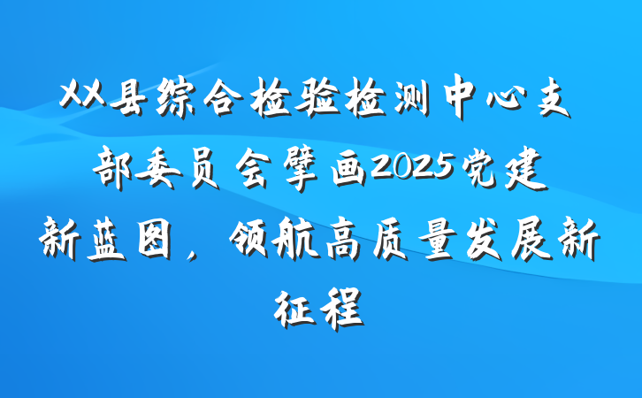 XX县综合检验检测中心支部委员会擘画2025党建新蓝图，领航高质量发展新征程