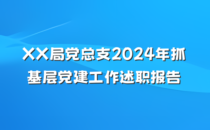 XX局党总支2024年抓基层党建工作述职报告