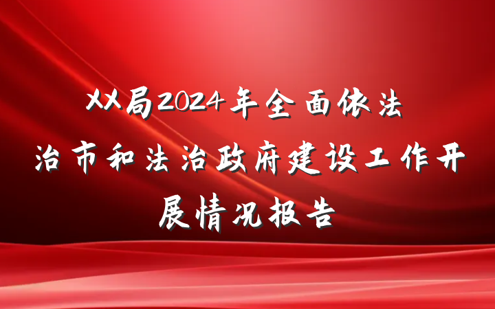 XX局2024年全面依法治市和法治政府建设工作开展情况报告