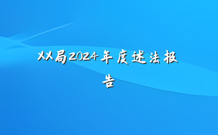 XX局2024年度述法报告
