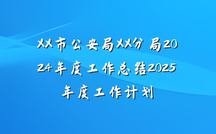 XX市公安局XX分局2024年度工作总结2025年度工作计划