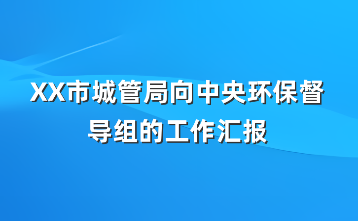 XX市城管局向中央环保督导组的工作汇报