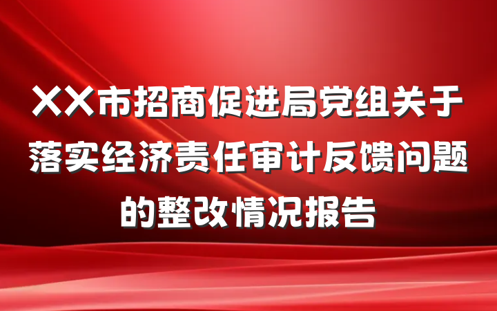 XX市招商促进局党组关于落实经济责任审计反馈问题的整改情况报告
