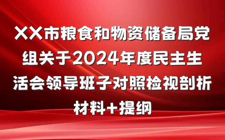 XX市粮食和物资储备局党组关于2024年度民主生活会领导班子对照检视剖析材料 提纲