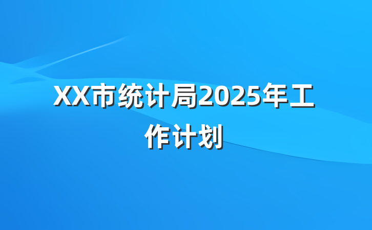 XX市统计局2025年工作计划