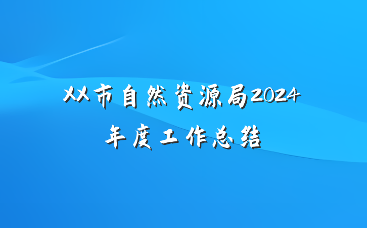 XX市自然资源局2024年度工作总结