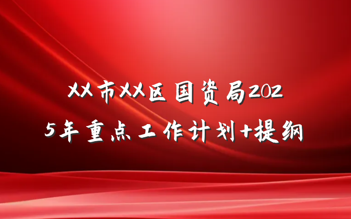 XX市XX区国资局2025年重点工作计划 提纲