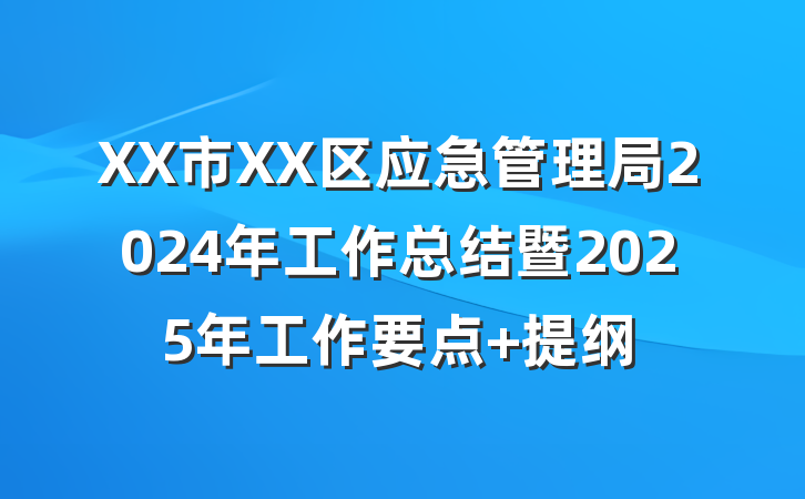 XX市XX区应急管理局2024年工作总结暨2025年工作要点 提纲
