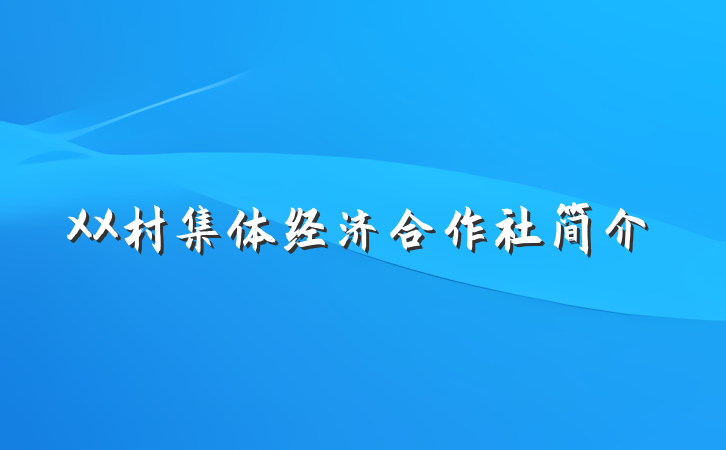 XX村集体经济合作社简介