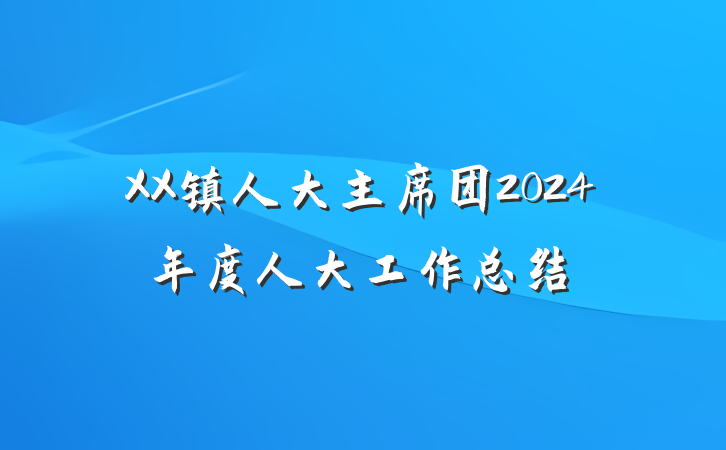 XX镇人大主席团2024年度人大工作总结
