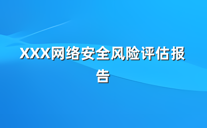 XXX网络安全风险评估报告