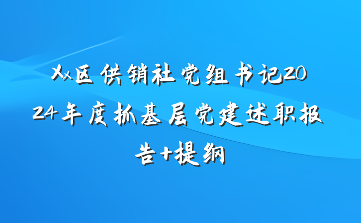 Xx区供销社党组书记2024年度抓基层党建述职报告 提纲