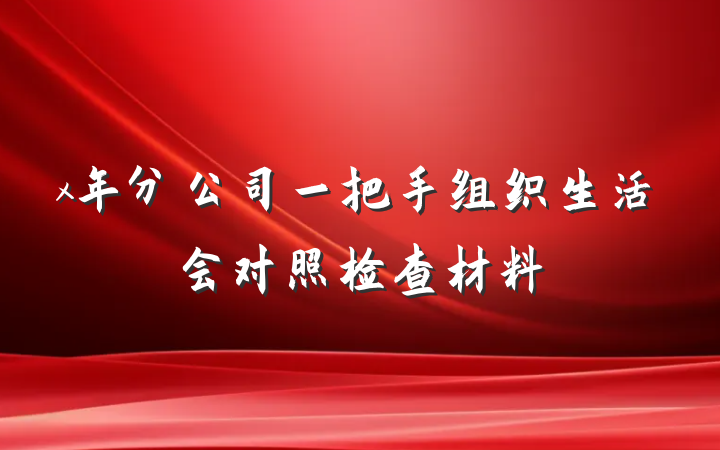x年分公司一把手组织生活会对照检查材料