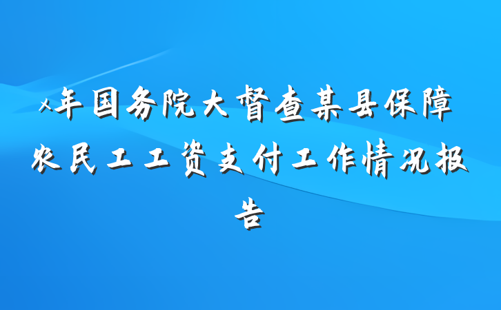 x年国务院大督查某县保障农民工工资支付工作情况报告