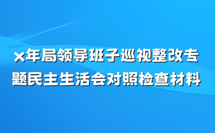 x年局领导班子巡视整改专题民主生活会对照检查材料